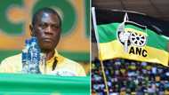 ANC defends Paul Mashatile against accusations of perjury and fraud after “fabricating” North West NEC meeting