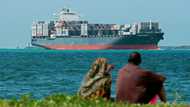 Rights groups urge Tanzania to free critics of UAE port deal