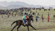 Lesotho's mountain jockeys race in the mist