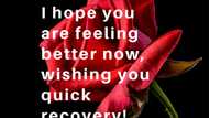 Over 100 get well soon messages, wishes and quotes to share with your loved ones