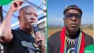 Ngizwe Mchunu attacks Julius Malema over Ekurhuleni killings and illegal immigration