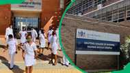 Nursing courses and colleges in South Africa: How to become a nurse
