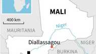 Malians march for state protection after massacre