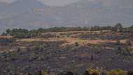 Neglected forests at the mercy of wildfires in Spain, Portugal
