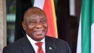 Awkward: Social media users react to the ANC's embarrassing moment in Parliament