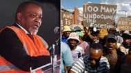 ANC chairperson Gwede Mantashe says criminals must be dealt with, not Zimbabweans, SA divided on comments