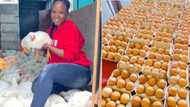 “Big ups”: Young female farmer, Sne Ngubane, inspires youth with hustle, Mzansi celebrates her