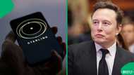 Lesotho grants Elon Musk's Starlink an operating licence, South Africans say it's a bad move