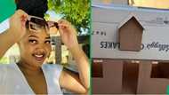 SA woman showcases journey of creating stunning cardboard dollhouses in a video