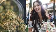 Bride and caterer arrested for lacing food with cannabis, serving unsuspecting guests, SA reacts hilariously