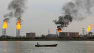 New carbon accounting rules target 'greenwashing'