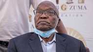 "When was the last time uBaba won anything in court": Zuma's special plea dismissed