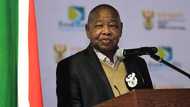 Facts about Blade Nzimande that you did not know