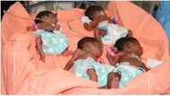 25 Year old Woman Gives Birth to Quadruplets, Now Mum of 7, husband says he can't take care of the growing family