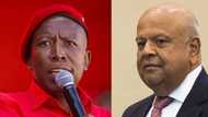 EFF vs Gordhan: Hefty fines and suspension recommended for some MPs