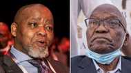 Mantashe shades Zuma's chairperson bid, says Zuma won't be chair unless he is nominated