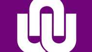 How do you check your NWU exam results? Find out from this simple guide