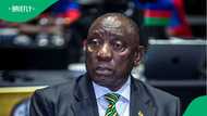 “Arrest the president”: SA loses trust in President Cyril Ramaphosa after he was spotted with Hangwani Maumela