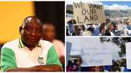 Presidential panel member rejects final report on land expropriation