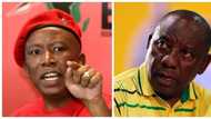 Julius Malema throws shade at Cyril Ramaphosa, but it backfires