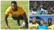 Siya Kolisi: 5 attributes which will make him a great Springbok captain