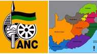 Movement says ANC's plans to reduce provinces will be against law