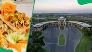 Steyn City restaurants guide: The Pizzeria, The Farmhouse, and more