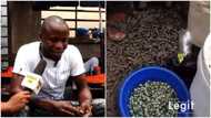 "People say it's women’s work": Hawker selling seafood speaks in video