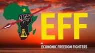 Social media turns red as EFF celebrates 8th anniversary, Mzansi reacts