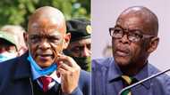 Ace Magashule considering taking fight against the ANC to Supreme Court of Appeal