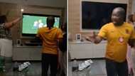 TikTok video of woman turning off TV during Springboks Rugby World Cup match has Mzansi laughing