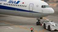 ANA, JAL see profits soar on travel recovery