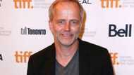 Ned Dennehy's bio: age, family, movies, Harry Potter, net worth