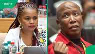Ad Hoc Committee: Julius Malema and Khusela Diko clash over Julius Mkhwanazi testifying
