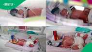 Australian mum gives birth to identical quadruplets in an incredibly rare 1-in-15-million pregnancy