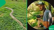 "Some people don't think": Amazon driver encounters snakes at delivery home, SA astonished