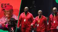 Julius Malema resolves that Economic Freedom Fighters won't be rowdy in National Assembly