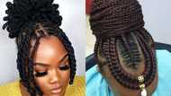 50 wedding dreadlock styles: Best suggestions for the bride