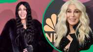 Cher's net worth today: How rich is the Goddess of Pop?