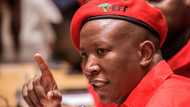 EFF's Julius Malema says Operation Dudula is merely imitating him and will not engage with the organisation