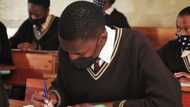 Matric results: 216 Eastern Cape pupils to rewrite exams after Department of Education finds irregularities