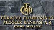 Former Wall Street exec named head of Turkey central bank