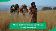 All about Xhosa culture: cuisine, traditions, history, and attire