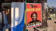 2024 General elections: Orania gets 1 Economic Freedom Fighters vote, sparks curiosity