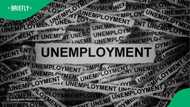 A TikTok video showed a massive crowd of job seekers, sparking debate about South Africa’s unemployment crisis