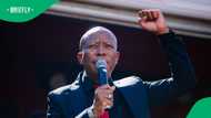 A look at how much Julius Malema's sentence appeal process could cost