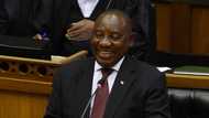 Exclusive: Ramaphosa's economic plan on right track, but costly