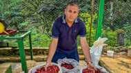 Cuba bets on specialty coffee to boost industry