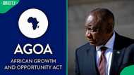 Cyril Ramaphosa urges South Africans to brace for loss of AGOA, South Africans debate his warning