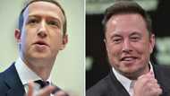 Musk says cage fight with Zuckerberg will be in Italy